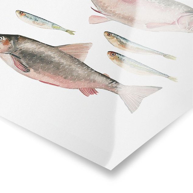 Quadros decorativos Seven Fish In Watercolour I