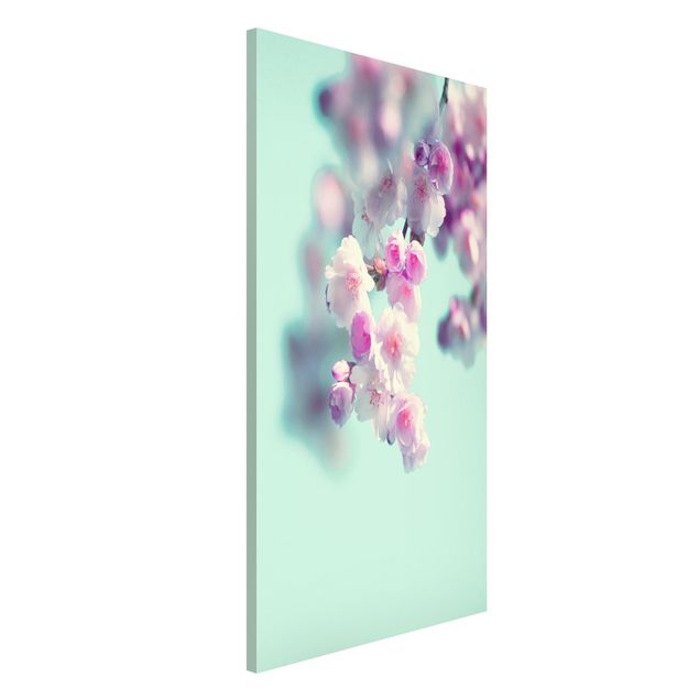 decoraçao para parede de cozinha Colourful Cherry Blossoms