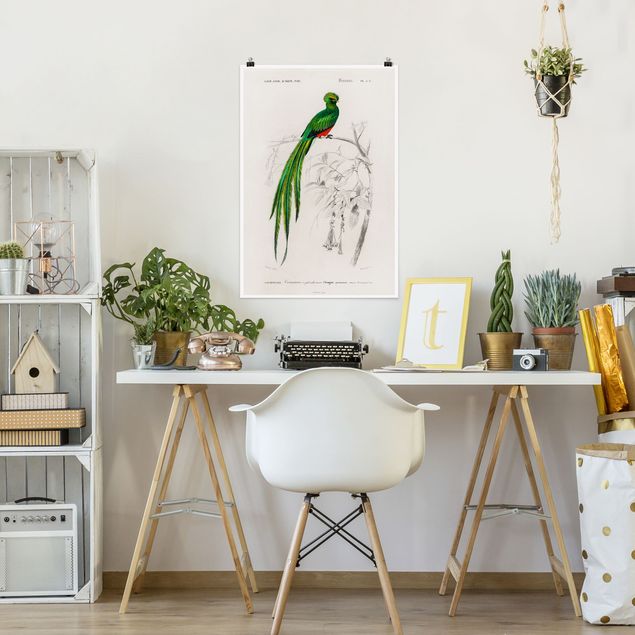 Posters flores Vintage Board Tropical Bird I