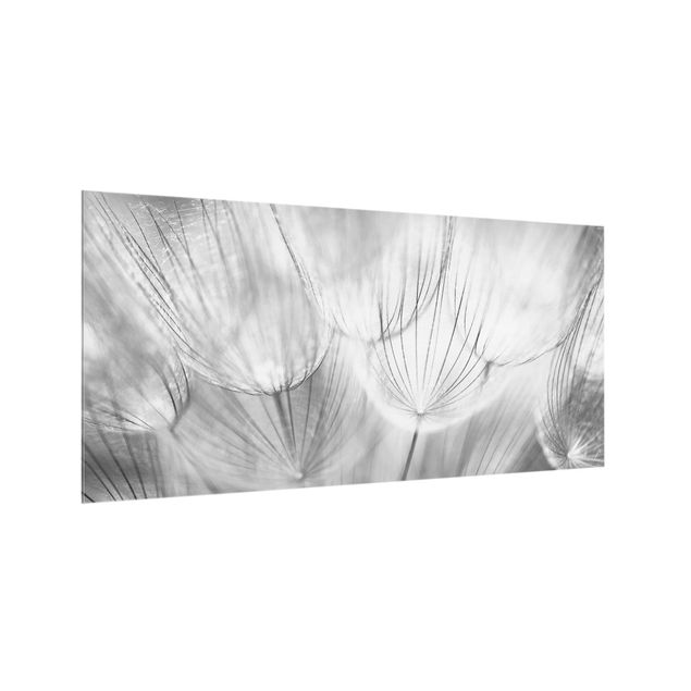 painéis antisalpicos Dandelions Macro Shot In Black And White