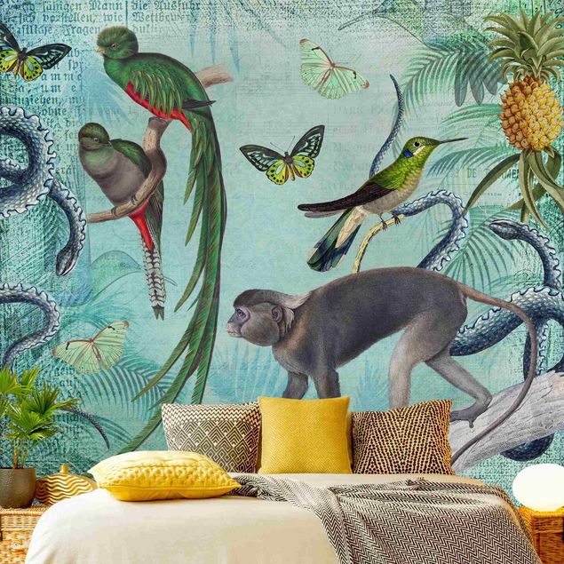 papel de parede para quarto de casal moderno Colonial Style Collage - Monkeys And Birds Of Paradise
