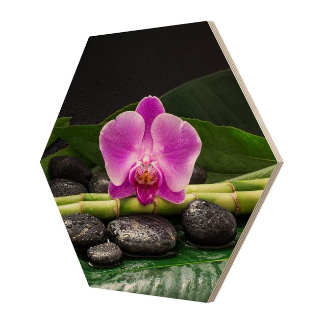 quadros flores Green Bamboo With Orchid Blossom