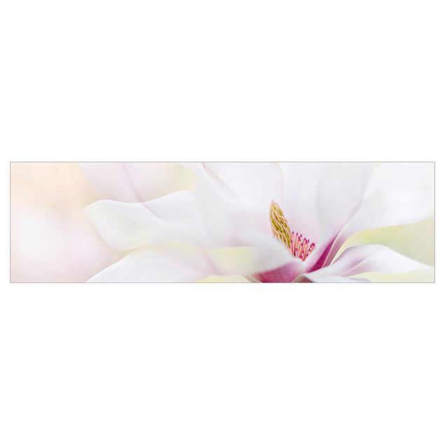 Backsplash de cozinha Delicate Magnolia Blossom