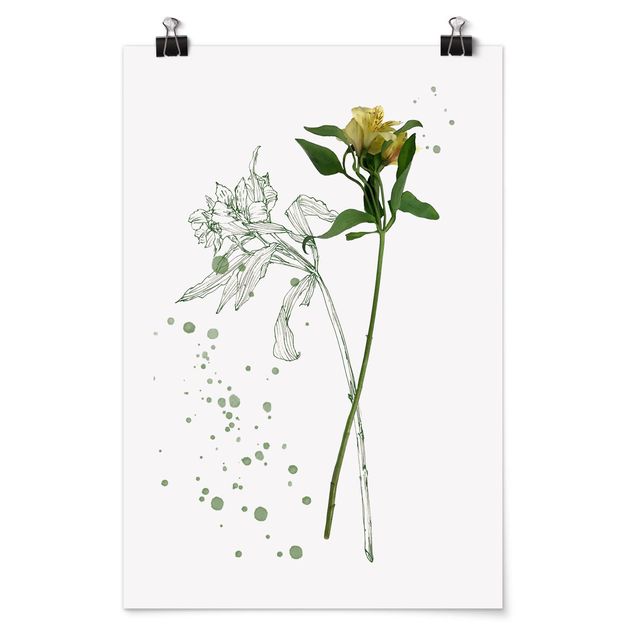 quadros de flores Botanical Watercolour - Lily