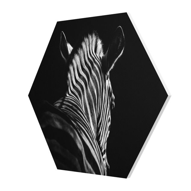 quadros em preto e branco Dark Zebra Silhouette
