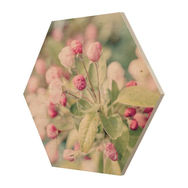 Quadros de Andrea Haase Apple Blossom Pink Bokeh