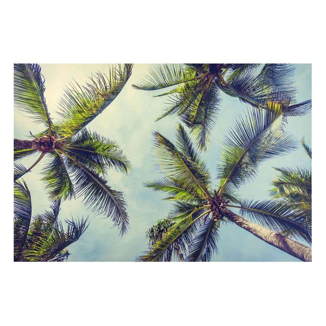 quadros de paisagens The Palm Trees