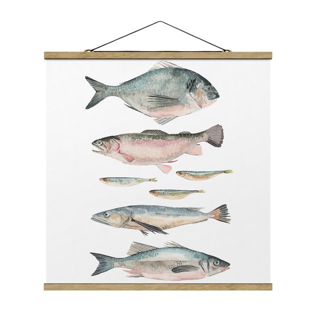 Quadros animais Seven Fish In Watercolour II
