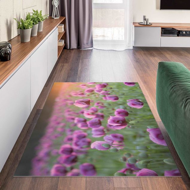 tapetes sala modernos Purple Poppy Flower Meadow In Spring