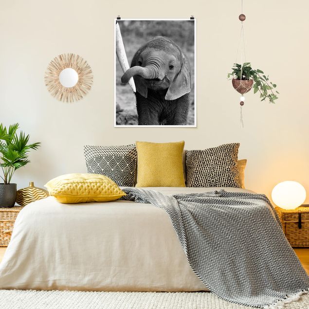 poster preto e branco Baby Elephant