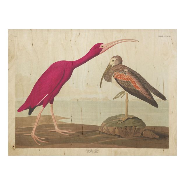 Quadros em madeira paisagens Vintage Board Red Ibis