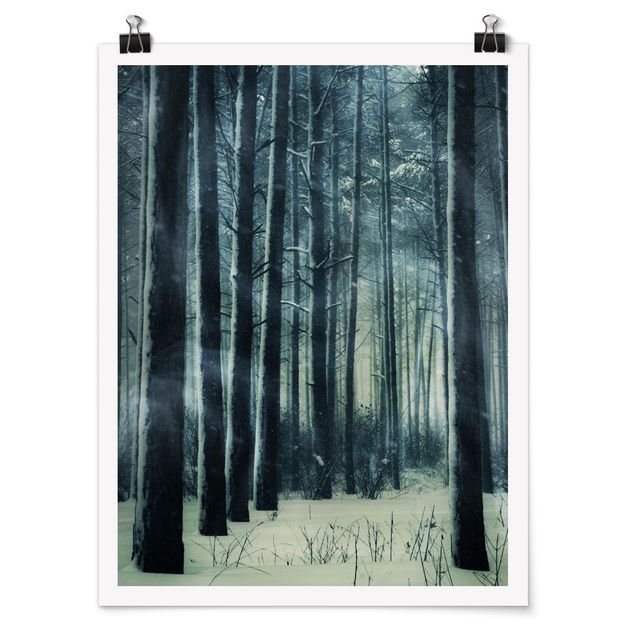 quadros 3d efeito tridimensional Mystical Winter Forest
