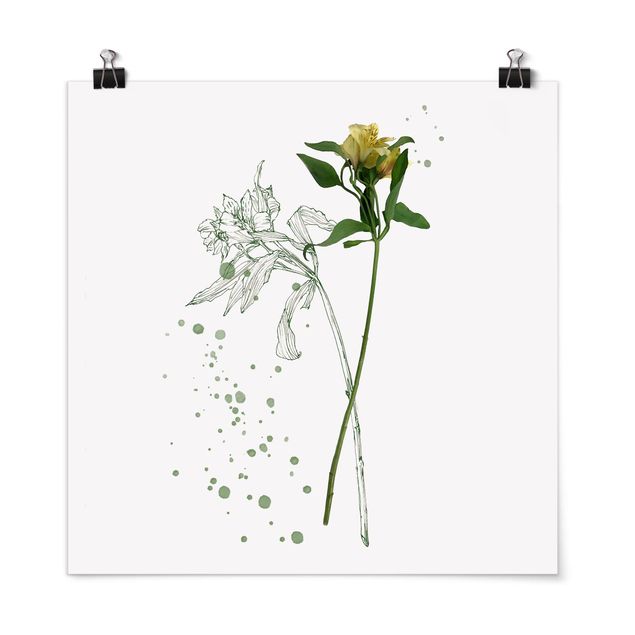 Quadros florais Botanical Watercolour - Lily