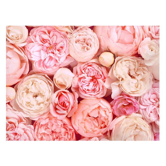 Quadros magnéticos flores Roses Rosé Coral Shabby