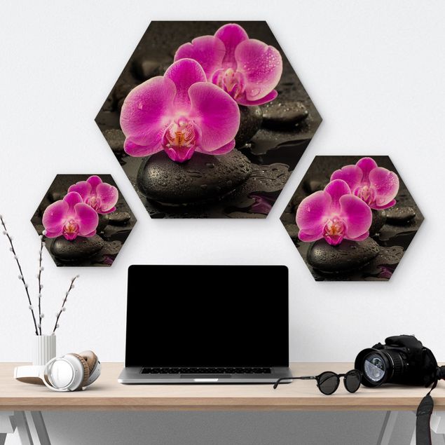 Quadros hexagonais Pink Orchid Flowers On Stones With Drops