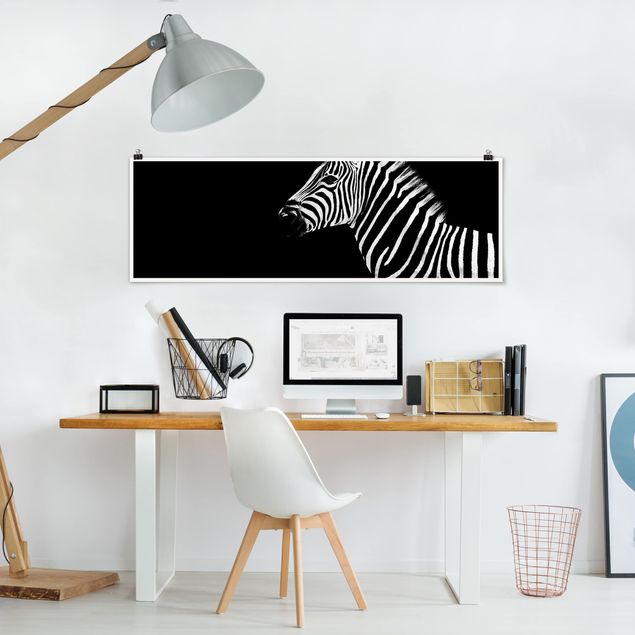 Posters em preto e branco Zebra Safari Art