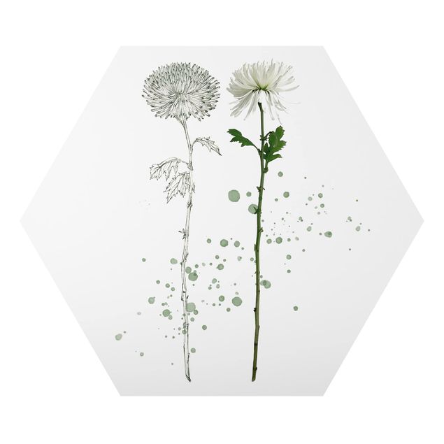 Quadros modernos Botanical Watercolour - Dandelion