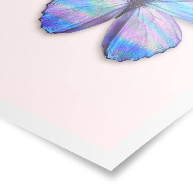 Posters animais Holographic Butterfly