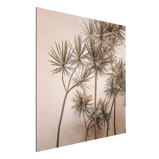 decoraçao para parede de cozinha Sun-Kissed Palm Trees