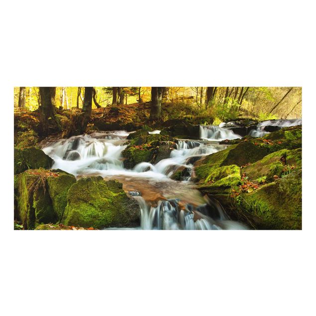 Painel anti-salpicos de cozinha Waterfall Autumnal Forest