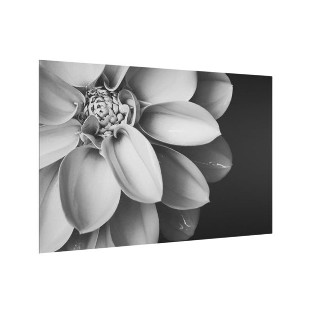 Painel antisalpicos In The Heart Of A Dahlia Black And White