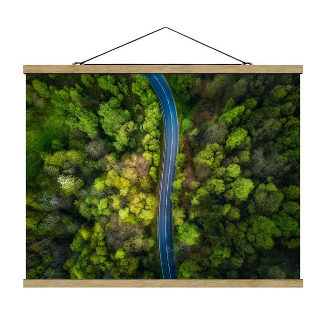 quadro da natureza Aerial View - Asphalt Road In The Forest