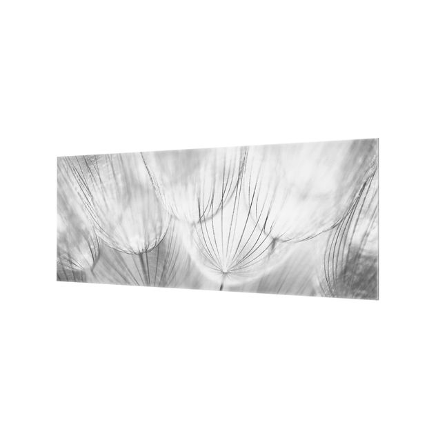 Painel anti-salpicos de cozinha Dandelions Macro Shot In Black And White