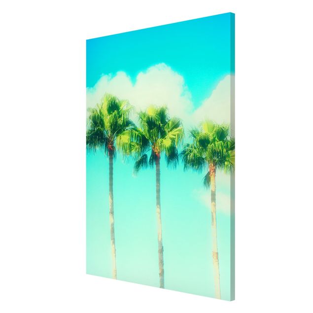 Quadros magnéticos flores Palm Trees Against Blue Sky
