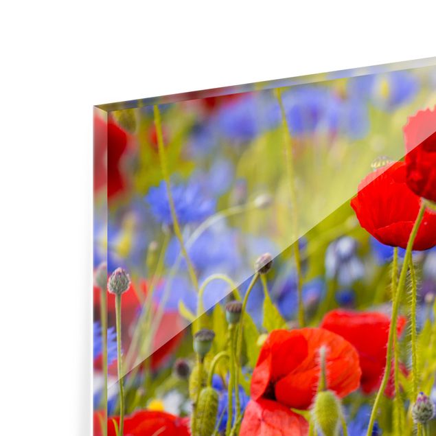 Painel anti-salpicos de cozinha Summer Meadow With Poppies And Cornflowers