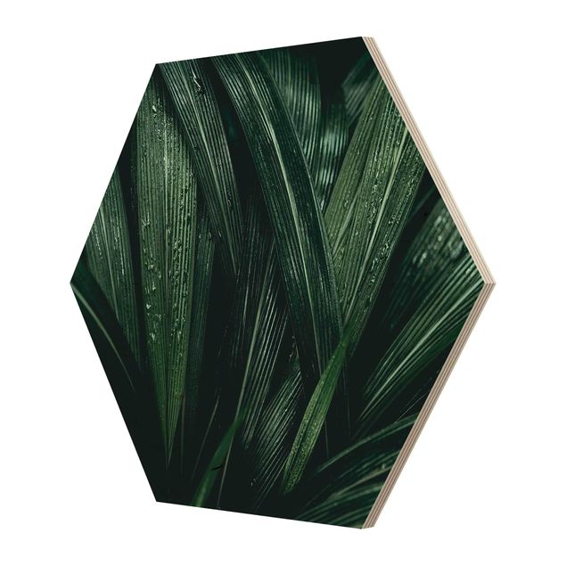 Quadros hexagonais Green Palm Leaves