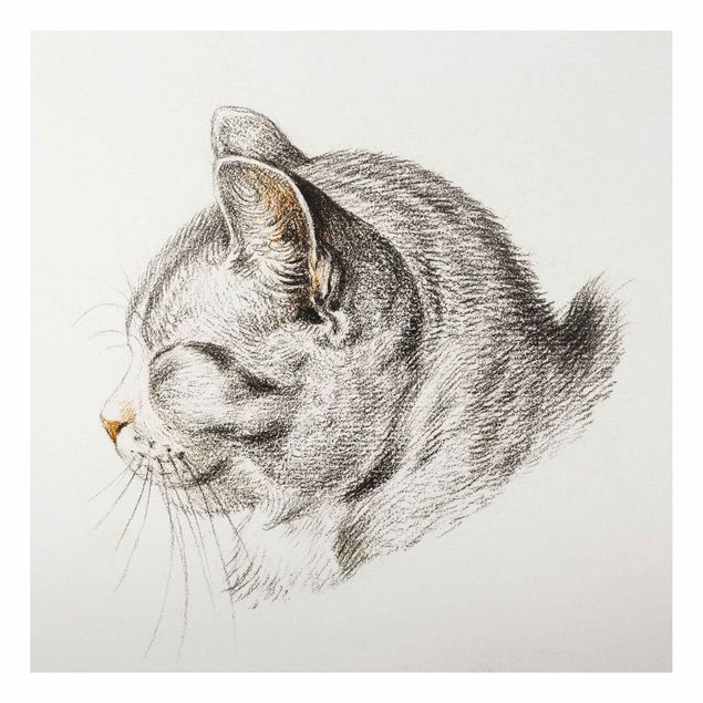 Quadros gatos Vintage Drawing Cat III
