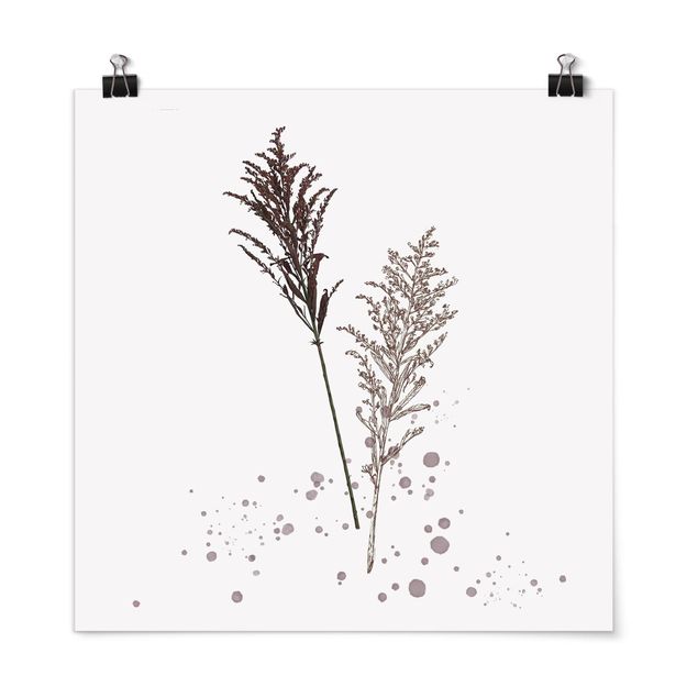 Quadros florais Botanical Watercolour - Fescue Reed