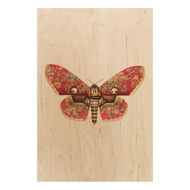 Quadros em madeira vintage Vintage Moth