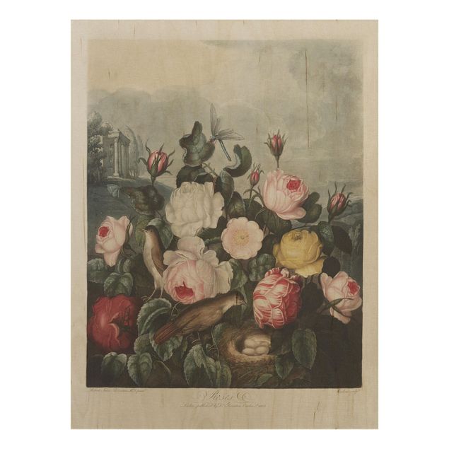 Quadros em madeira flores Botany Vintage Illustration Of Roses