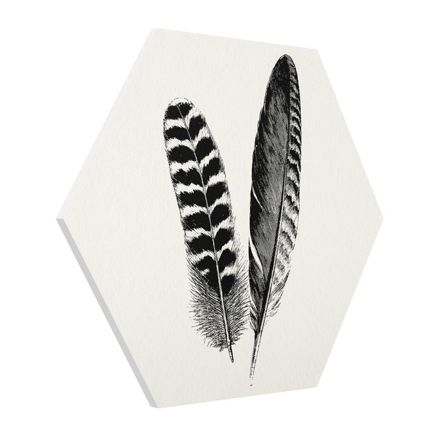 Quadros forex Two Feathers - Drawing