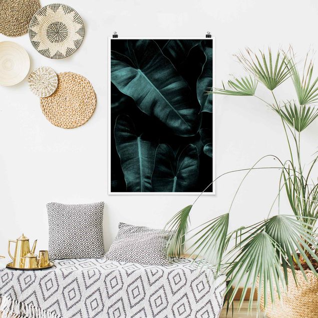 Posters flores Jungle Leaves Dark Green