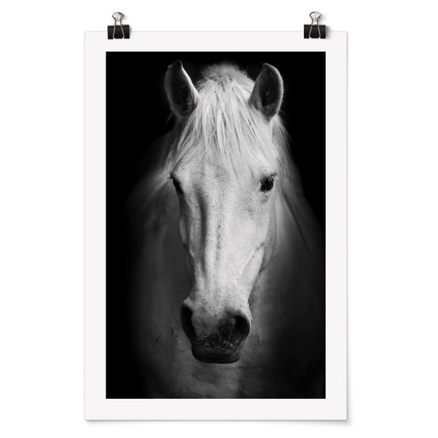 Posters animais Dream Of A Horse