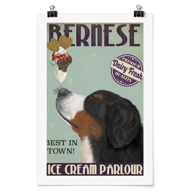 Posters animais Bernese Mountain Dog With Ice