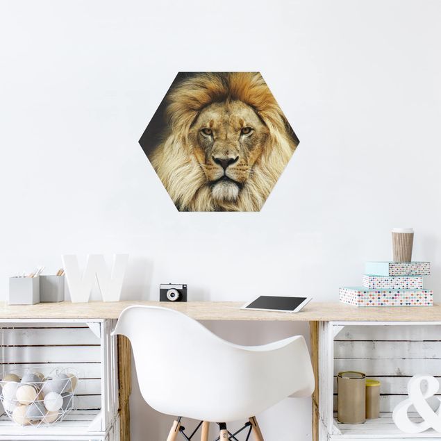quadros decorativos para sala modernos Wisdom Of Lion