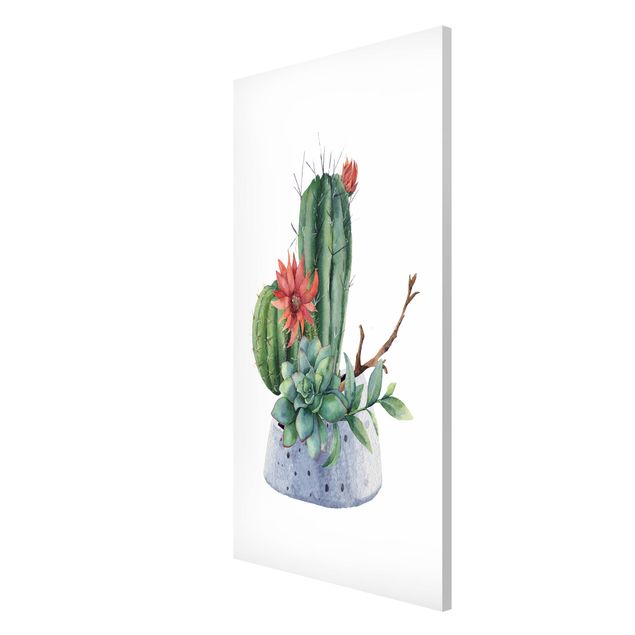 Quadros florais Watercolour Cacti Illustration