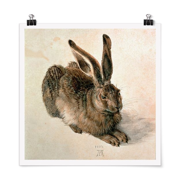 Posters quadros famosos Albrecht Dürer - Young Hare