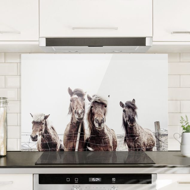 decoraçoes cozinha Icelandic Horse