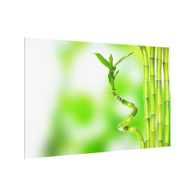 Painel antisalpicos green bamboo
