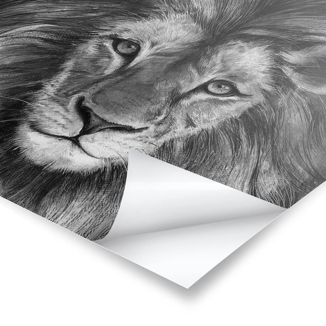 Quadros de Laura Graves Art Illustration Lion Monochrome Painting