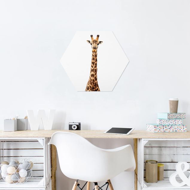 quadros modernos para quarto de casal Giraffe head