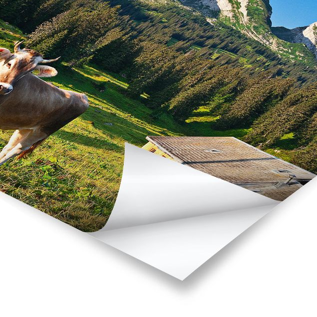 Posters animais Swiss Alpine Meadow With Cow