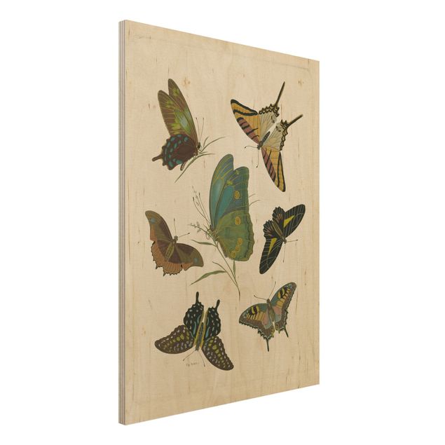 decoraçoes cozinha Vintage Illustration Exotic Butterflies