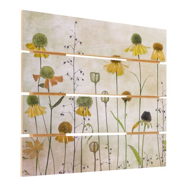 quadro de madeira para parede Delicate Helenium Flowers