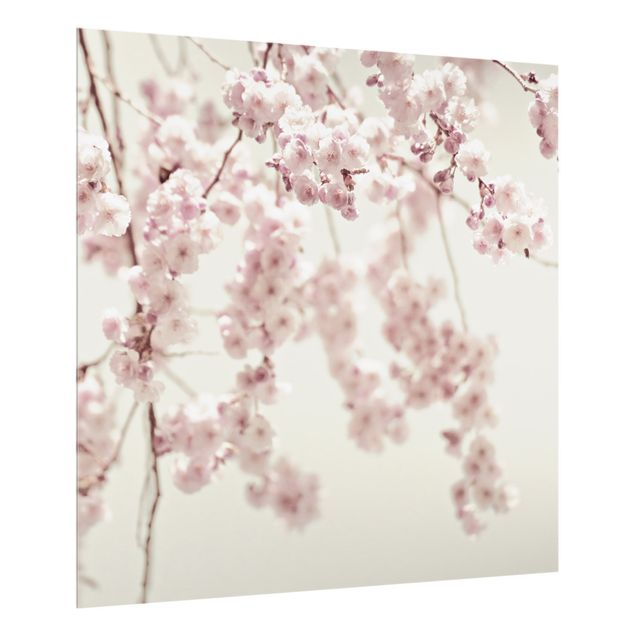 Painel antisalpicos Dancing Cherry Blossoms