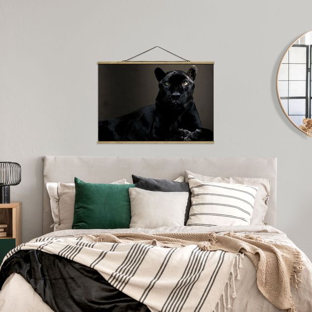 quadros decorativos para sala modernos Black Puma